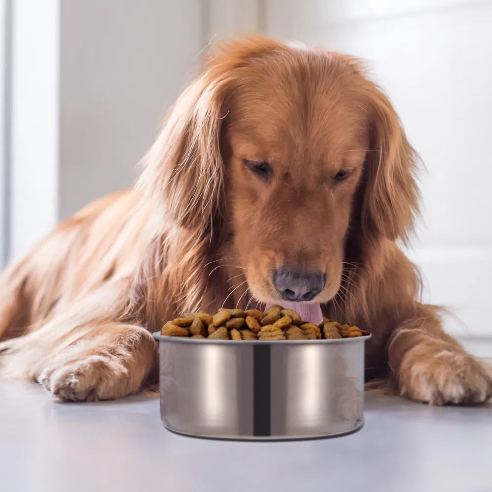 Stainless Steel Dog Bowl Pets Hanging Food Bowl Detachable Pet Cage