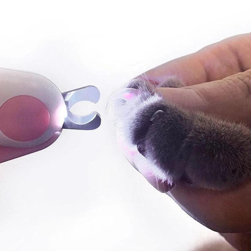 LED Light Pet Nail Clipper - JZ collection