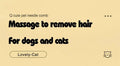 Pet Hair Removal Cleaning Brush 