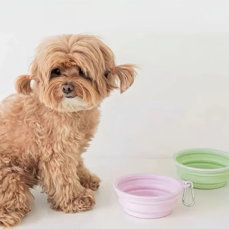 Foldable Silicone Pet Bowl – Portable Food & Water Container for Dogs and Cats