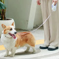 Automatic Retractable Dog Leash LED - JZ collection