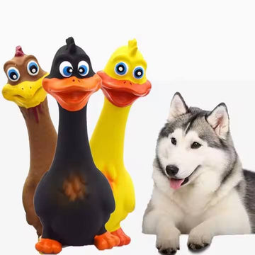 3pcs  Latex Screaming Chicken Toys Eco Friendly TPR Pet